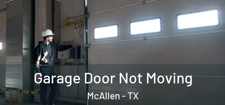  Garage Door Not Moving McAllen - TX