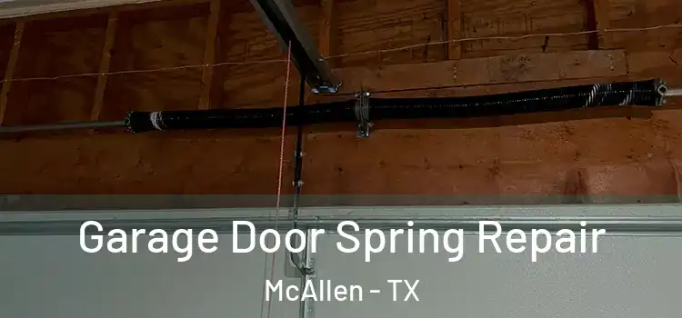  Garage Door Spring Repair McAllen - TX