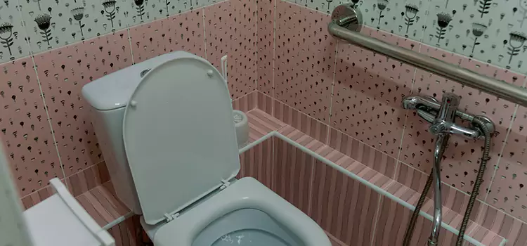 Meeting Diverse Needs With Accessible Restroom Solutions in McAllen, TX